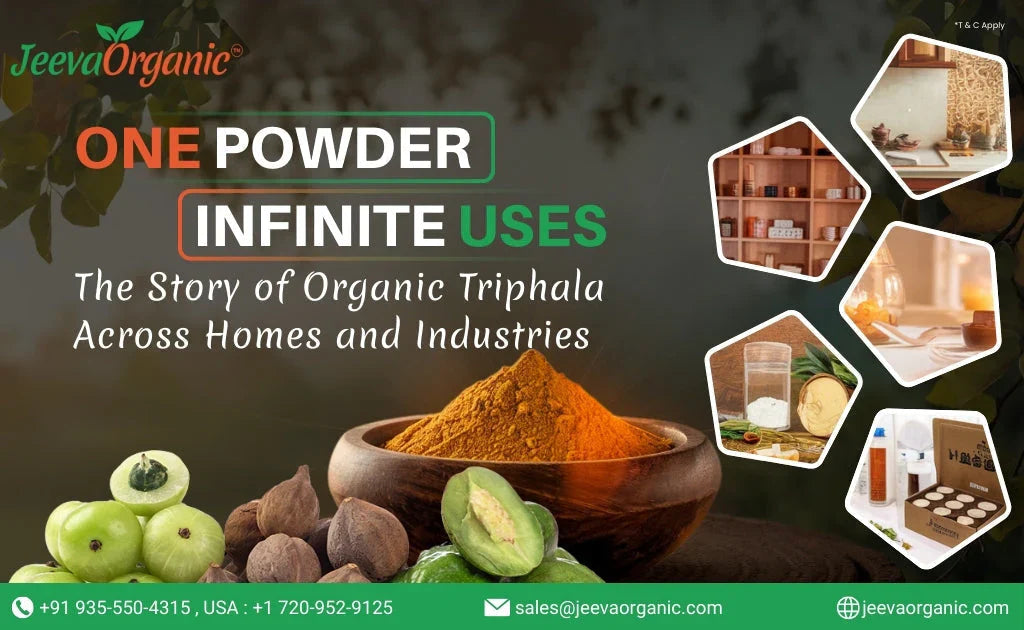 One Powder, Many Purposes: How Organic Triphala Became the Go-To Ingredient Across Aisles and Industries