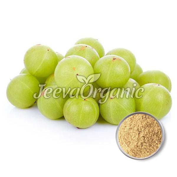 Organic Amla Powder